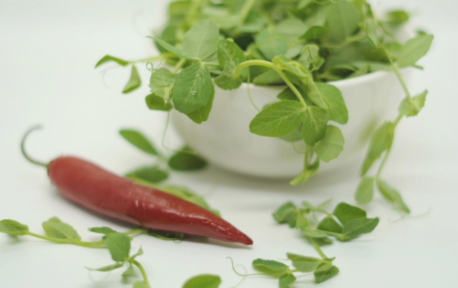 Healthy cooking preparation workspace